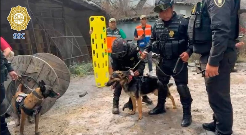 SSC binomios caninos