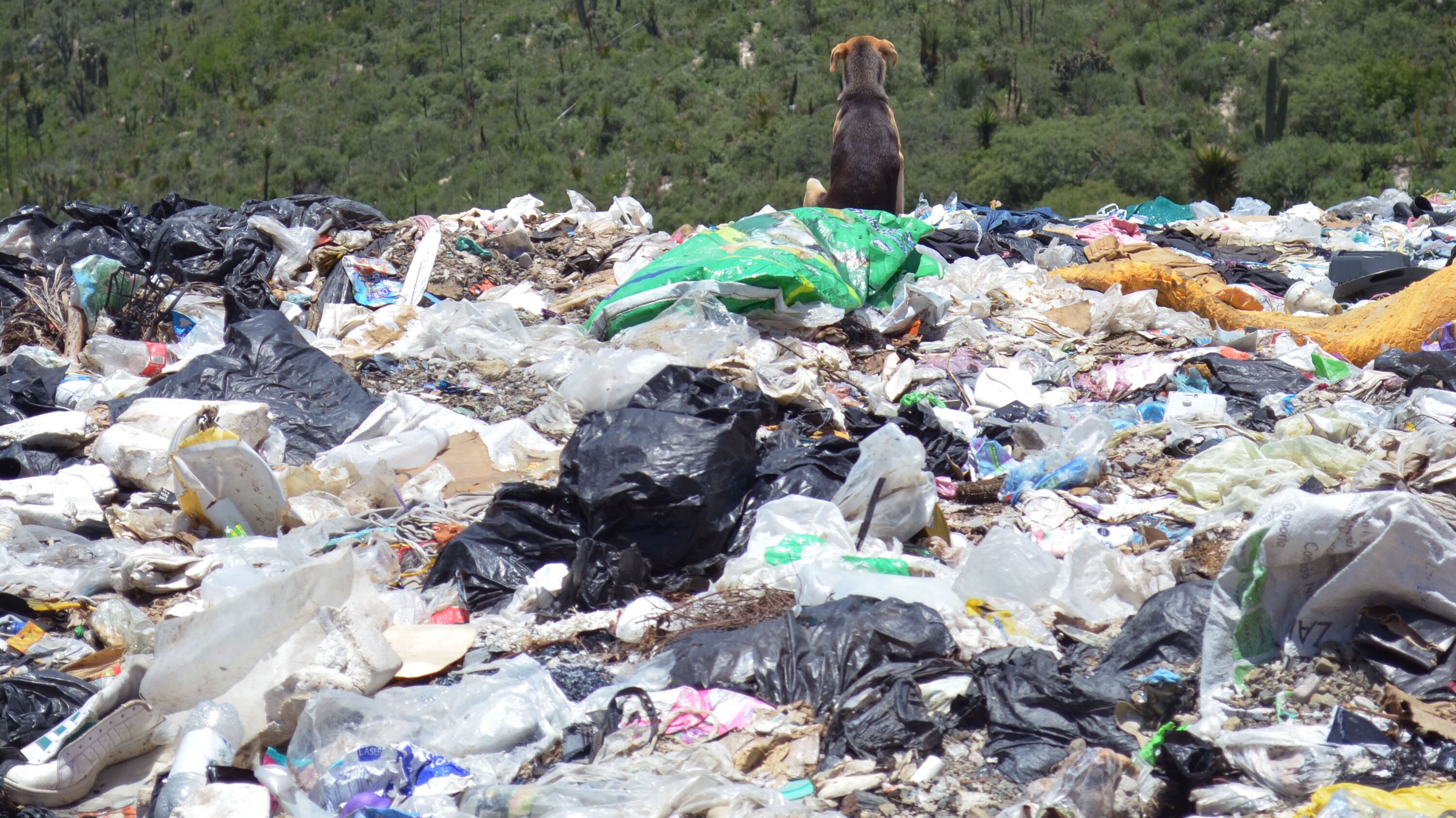 FOTO: Agencia Enfoque