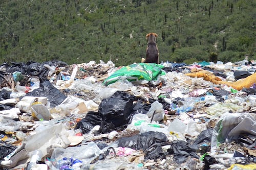 Exigen a ediles ampliar rellenos sanitarios y dejar de usar municipios como basureros