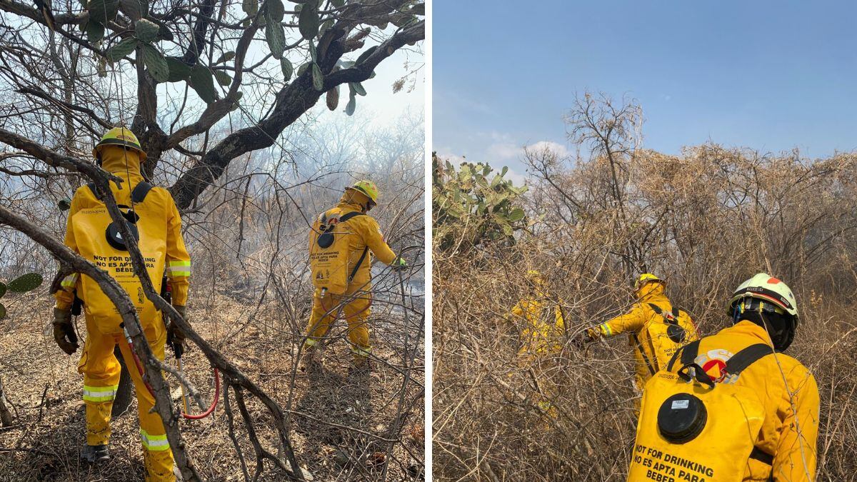 El incendio en Cerro Gordo consumió 60 hectáreas de vegetación y 10 toneladas de desechos; autoridades atribuyen la propagación a la acumulación de basura en la zona.