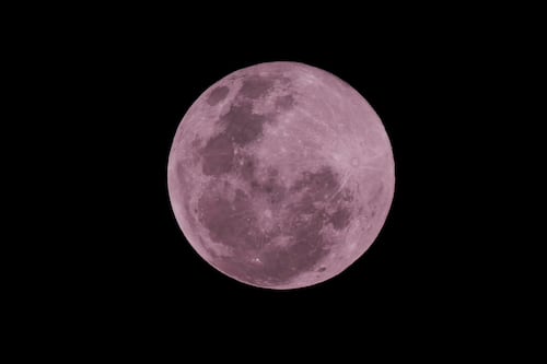Luna Rosa 2026 en México: descubre cómo y cuándo verla este abril
