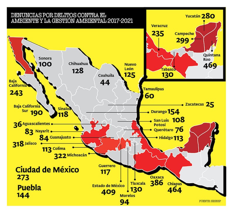 Delitos ambientales en México, concentrados solo en 8 estados