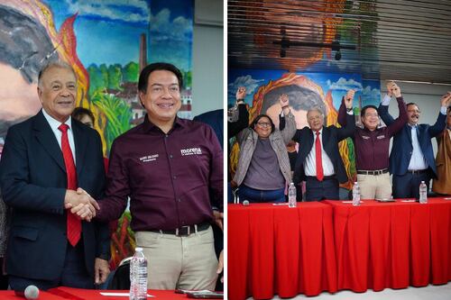 PT declina por Guadiana en Coahuila; Mejía Berdeja se queda solo