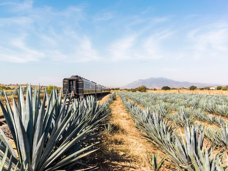 Si estás de visita en México y tu plan es ir a Jalisco, aprovecha tu estancia para conocer Tequila, uno de los destinos más emblemáticos de México