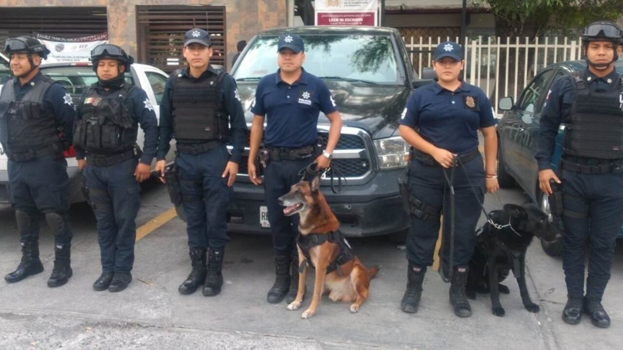 Durante la intervención del cuerpo policiaco se contó con el apoyo de binomios caninos para detectar drogas.