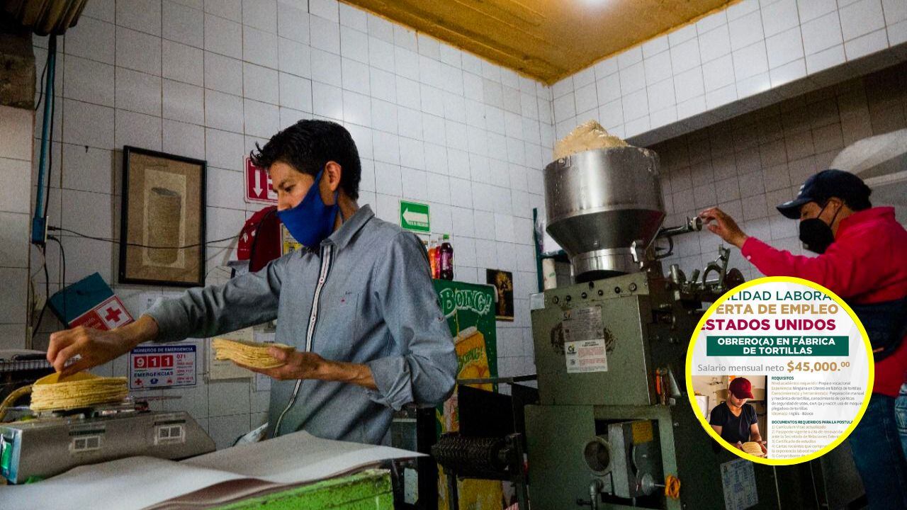 El precio máximo de la tortilla está en 30 pesos o más y, aun cuando la tonelada de maíz bajó 8%, el costo de la electricidad, gas y rentas impiden una disminución en el valor del básico.