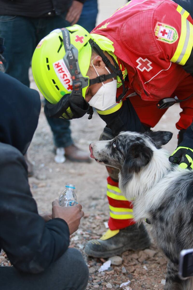 Grupo de rescate “Frida”: Grupo de caninos apoyan en Turquía y Siria tras sismo