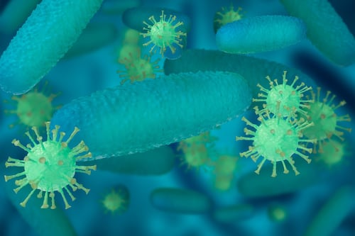 Virus de Marburgo: síntomas, transmisión y tratamiento tras nuevo caso confirmado por la OMS