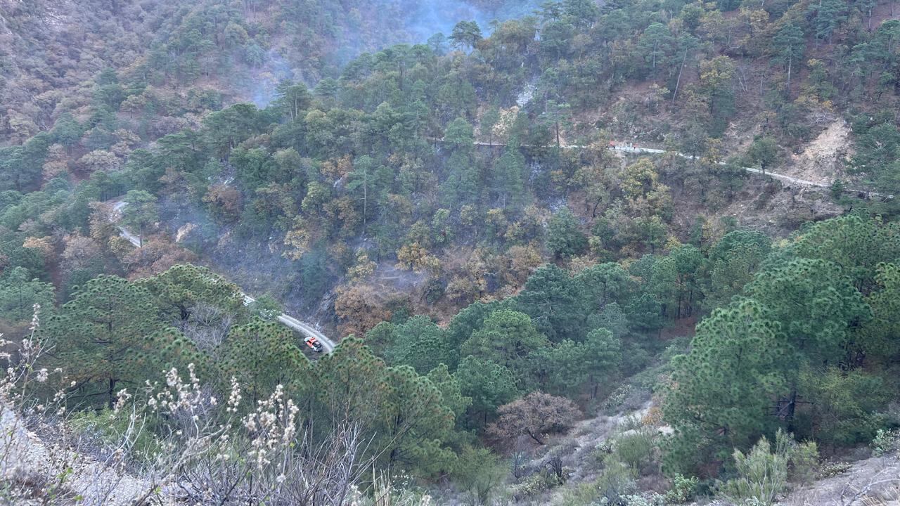 Los incendios afectaron cientos de hectáreas en NL