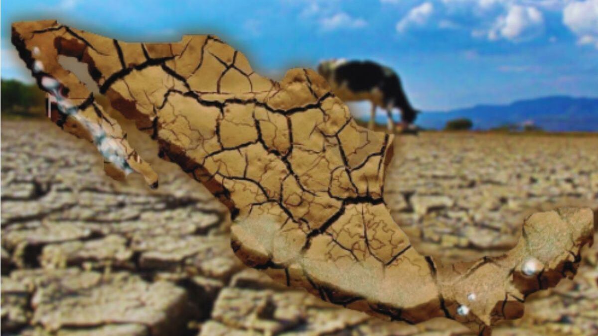 Sequía impacta al 83.7% de municipios en México, ¿cuáles son los más afectados?