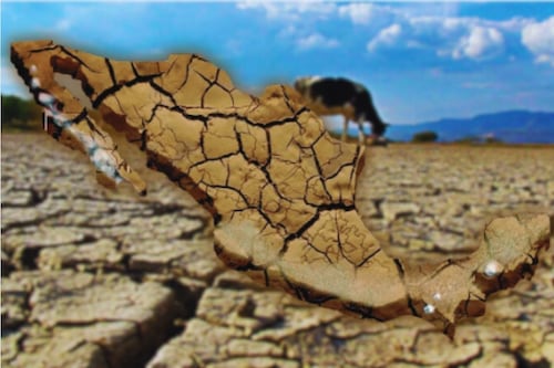 Sequía impacta 83.7% de municipios en México, ¿cuáles son los más afectados?
