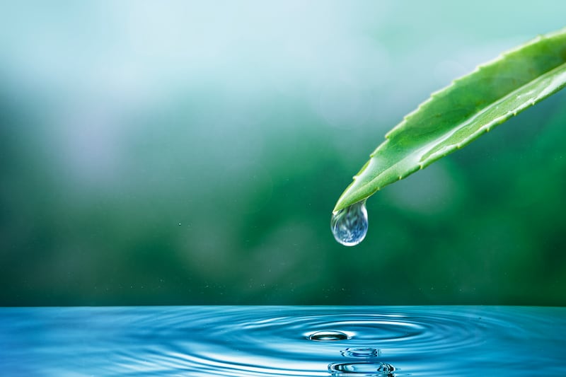 El agua es un recurso limitado y cada vez son más los problemas en diferentes partes del mundo derivados de su escasez. Foto: Freepik.