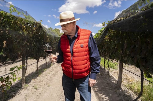 Camino de la Plata: la nueva ruta del vino que redefine el corazón de México