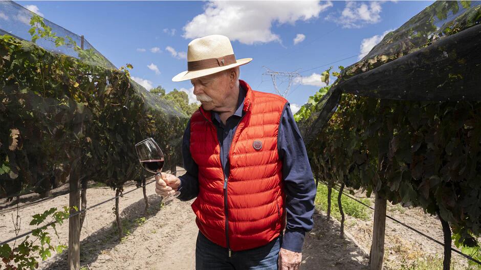Vinos Camino de la Plata