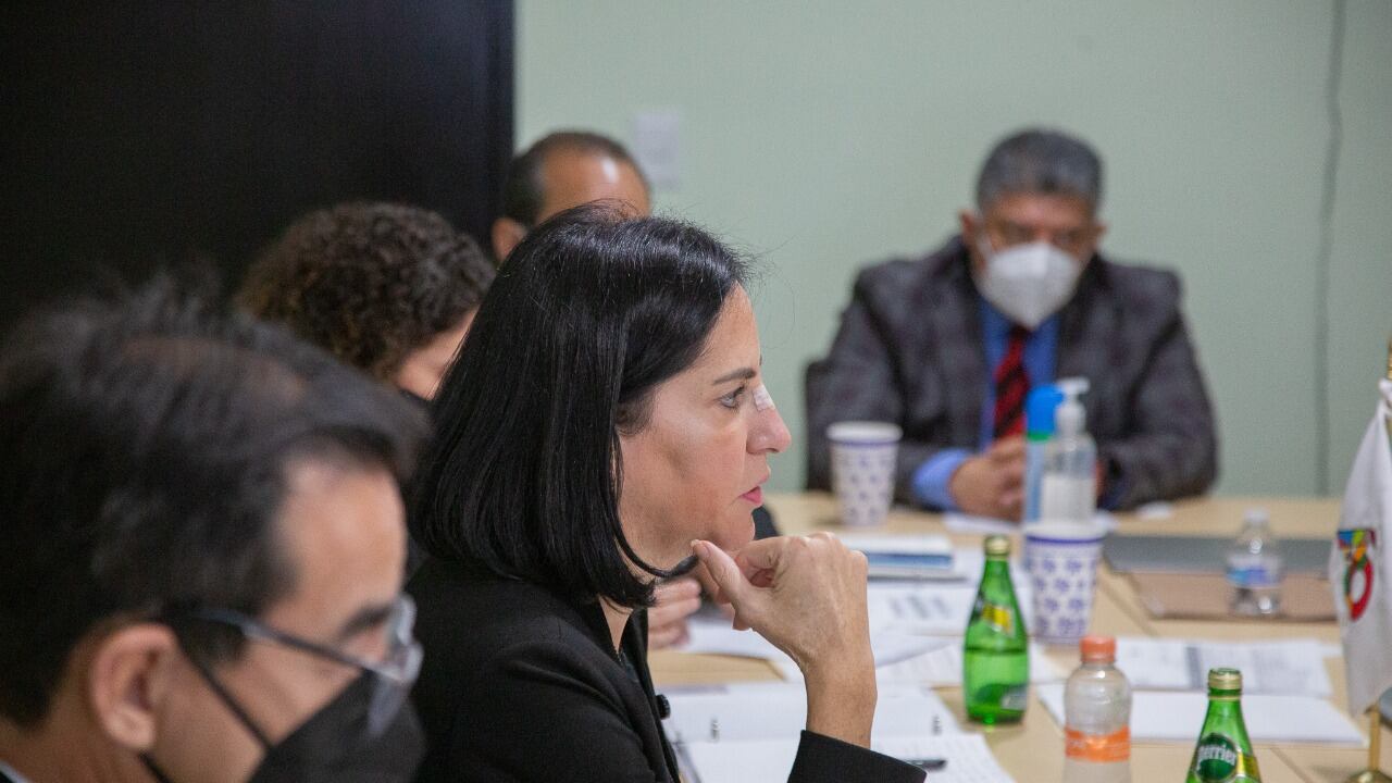 Lía Limón, alcaldesa electa en Álvaro Obregón.