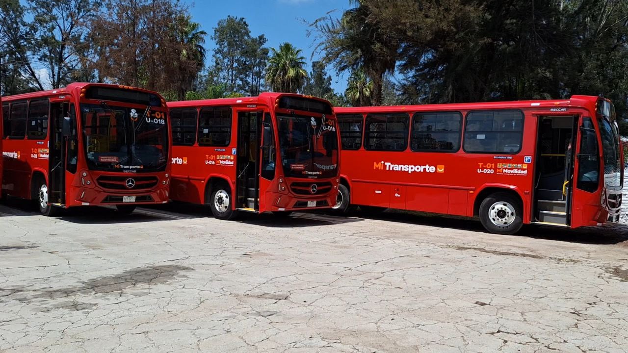 IMAGEN ILUSTRATIVA/ SETRAN