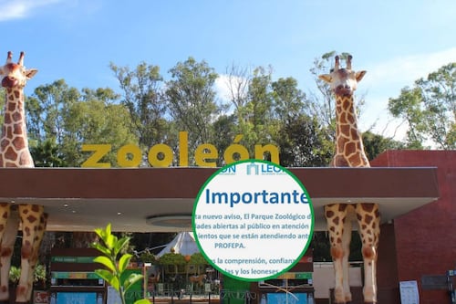 Suspende Zoo León actividades por requerimientos de Profepa