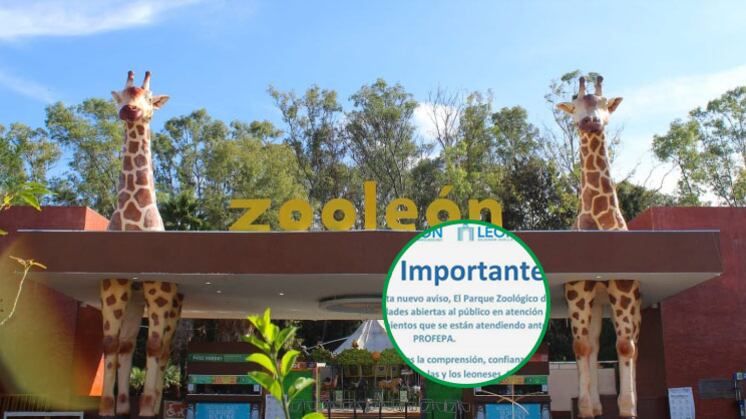 A través de sus medios oficiales el municipio de León da a conocer el cierre del zoológico tras una solicitud de Procuraduría Federal de Protección al Ambiente (PROFEPA).