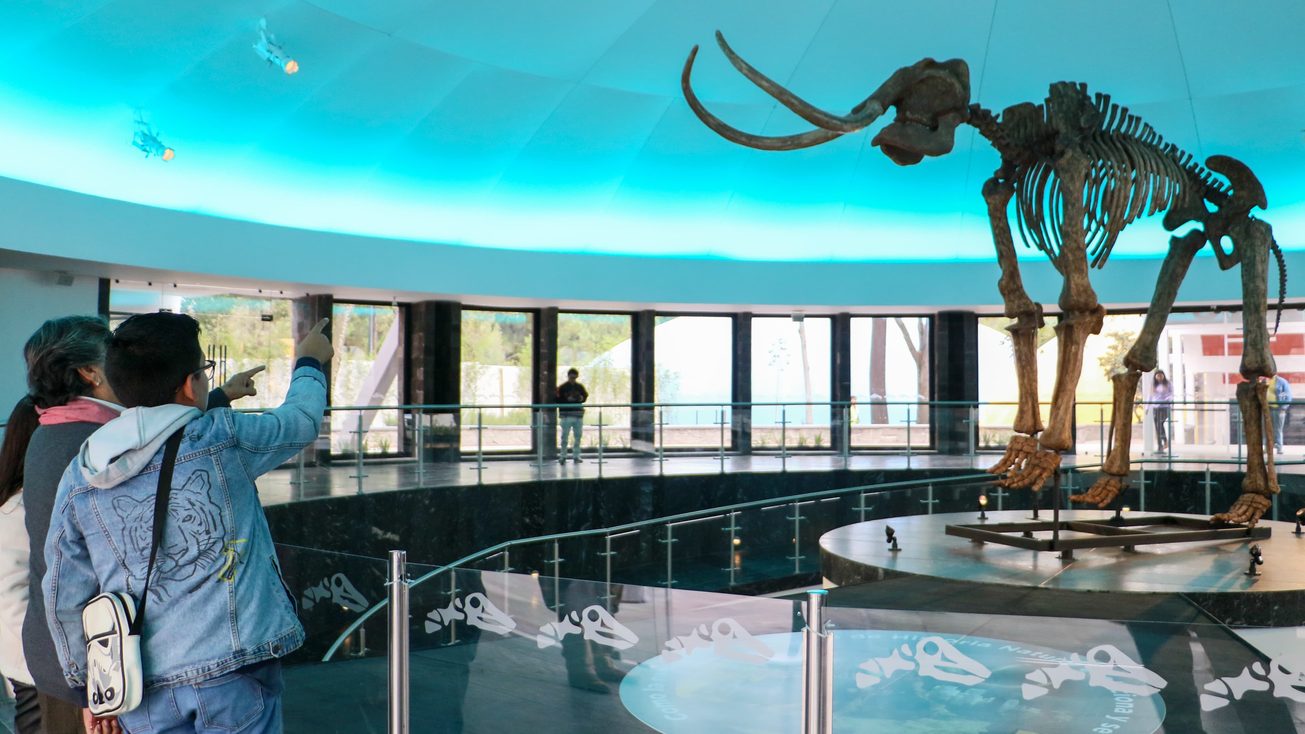 Museo de Historia Natural