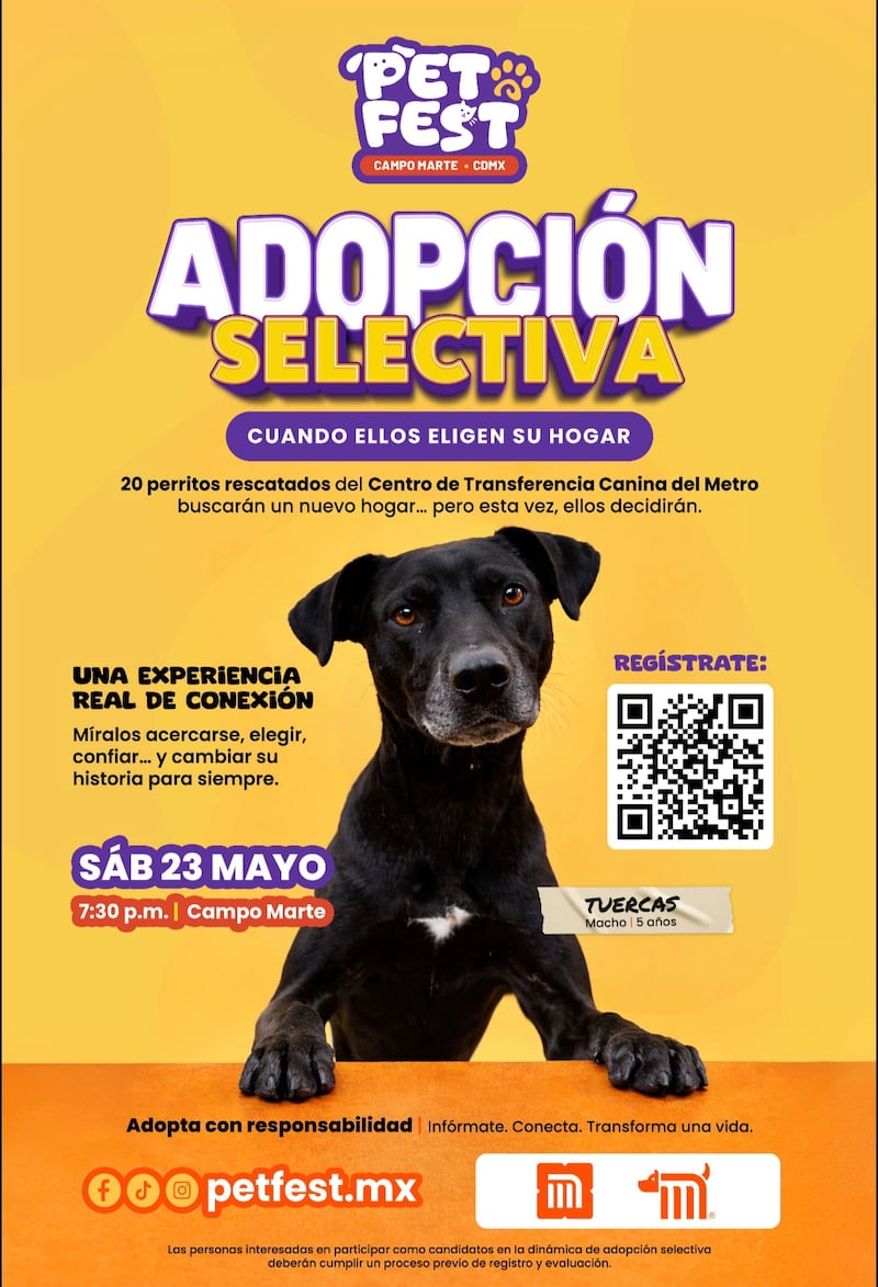 El Centro de Transferencia Canina (CTC) del Sistema de Transporte Colectivo (STC) participará en PetFest 2026 con iniciativa inédita que busca transformar la adopción tradicional en el país. Foto: PetFest 2026.