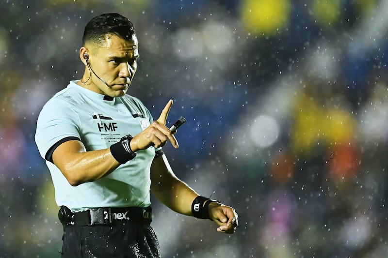 Gato Ortiz