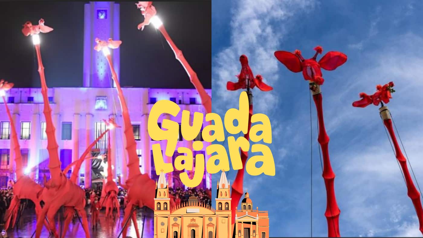 ESPECIAL/ GOBIERNO DE GUADALAJARA/ CANVA