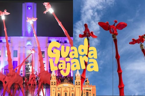 ¡Jirafas gigantes tomarán las calles de GDL este fin de semana! Conoce los detalles