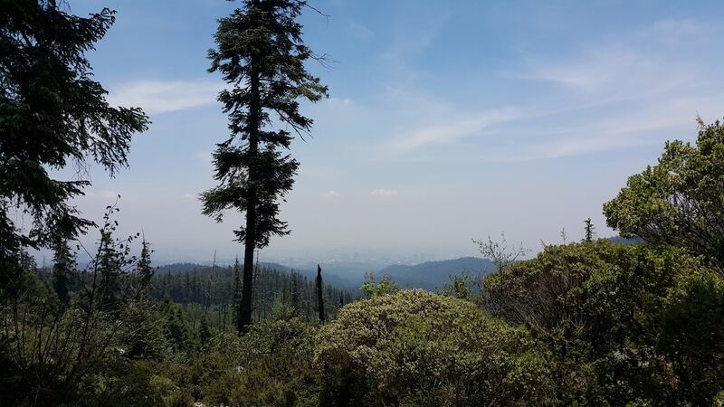 México es un destino ideal para los amantes del senderismo debido a su diversidad geográfica y cultural. Aquí hay algunos de los mejores lugares para realizar esta actividad.