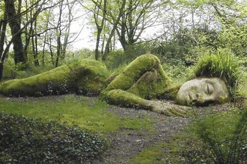 Ecopsicología parte 3