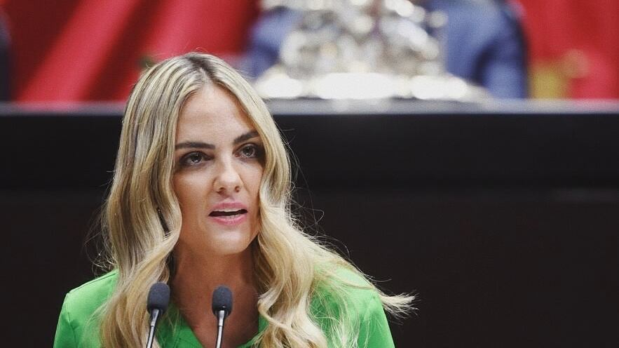 Diputada Tania Palacios.