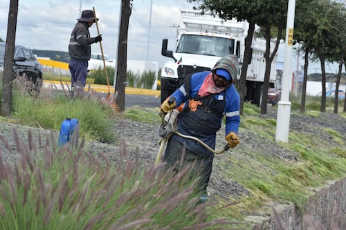 Corregidora realiza operativo de limpieza en rutas de peregrinación a Coroneo
