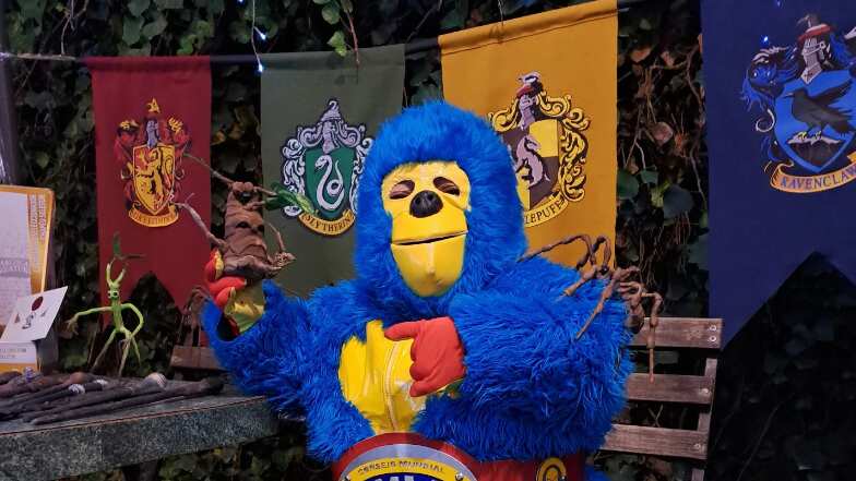 KeMonito es una sensación en las funciones de lucha libre I kemonitoeslomonito.cmll