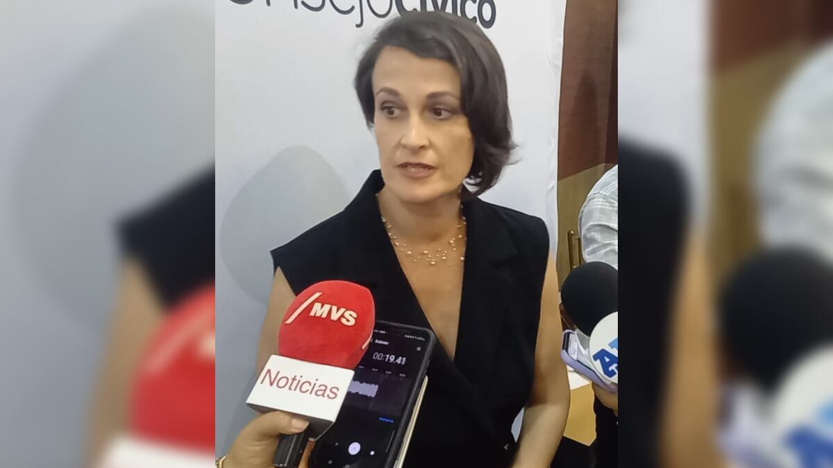 Molinard explicó que los Diálogos por la paz es organizada por asociaciones civiles.