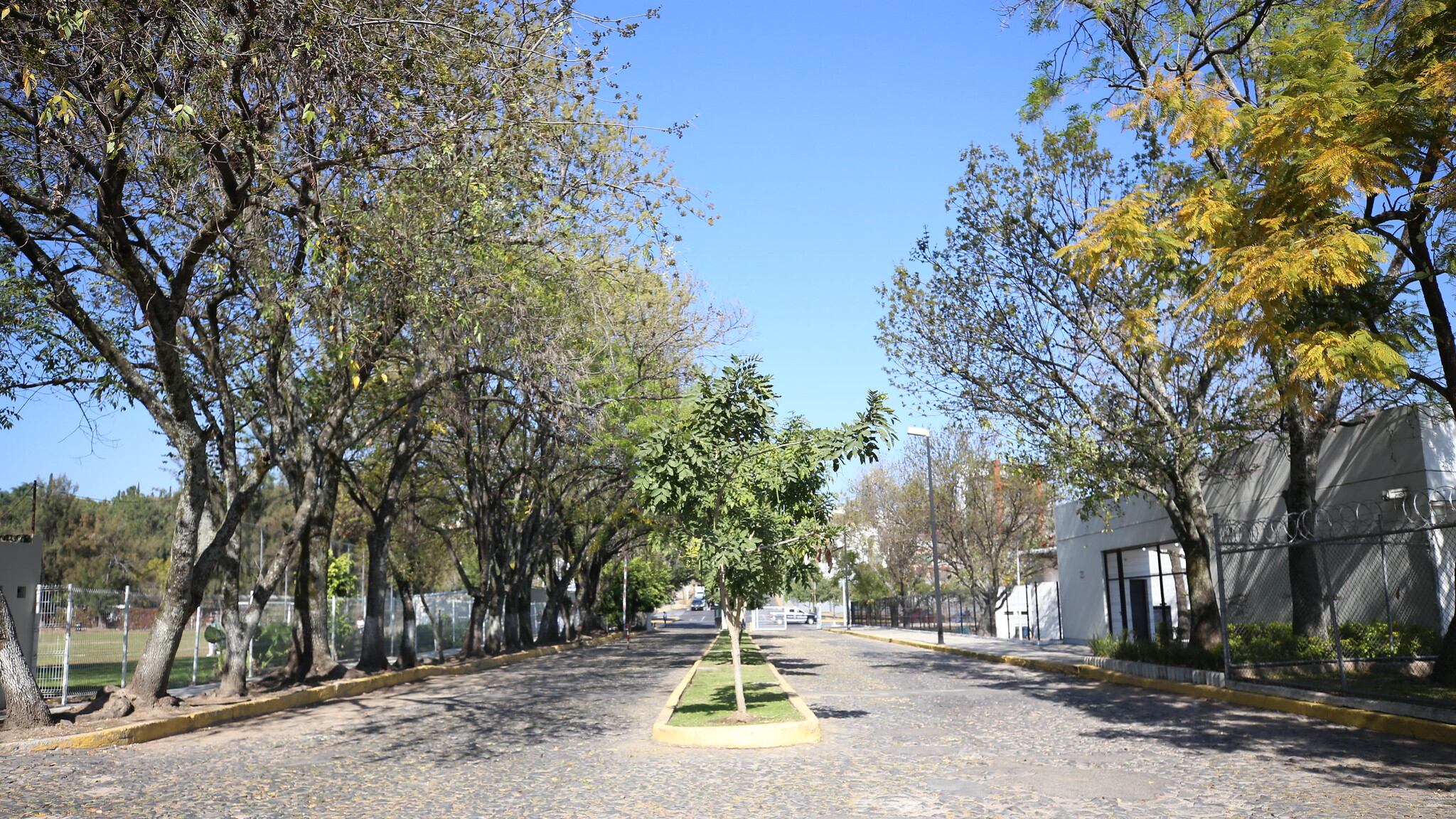 La UAG cederá su vialidad interna para el desarrollo de la obra.