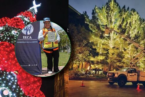 Manos de Guanajuato dan luz a la Navidad en una de las grandes ciudades de Texas