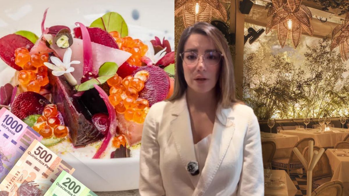 Lady Polanco: ¿Cuánto cuesta comer en Bagatelle, restaurante del caso Claudia Mollinedo? Menú y ubicación