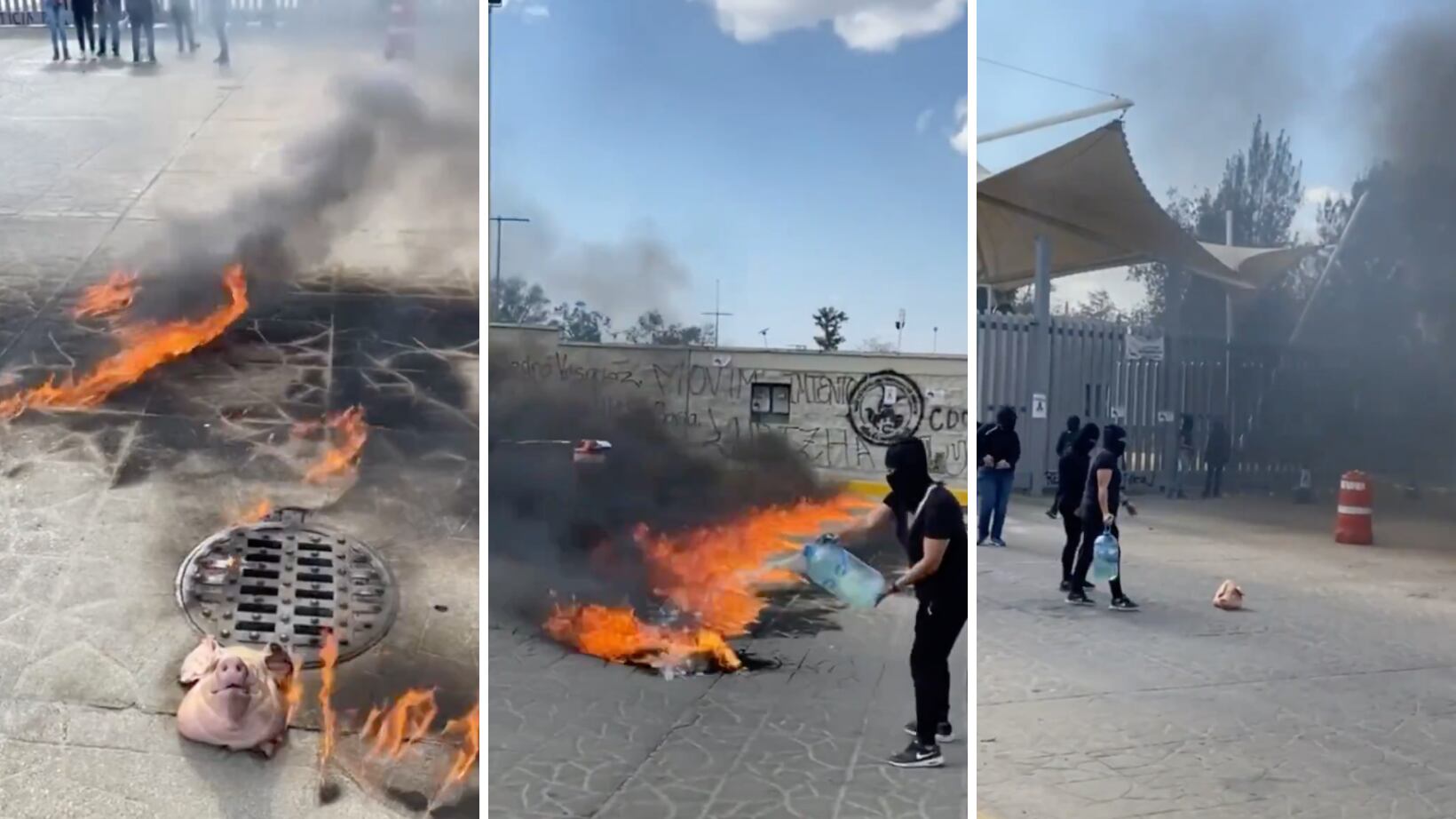 Mujeres protestan en Congreso de Oaxaca por caso de María Elena Ríos con fuego y cabeza de puerco