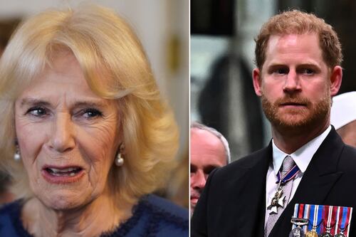 Hijo de Camila Parker defiende a su madre de los dichos de Harry y la pelea familiar crece