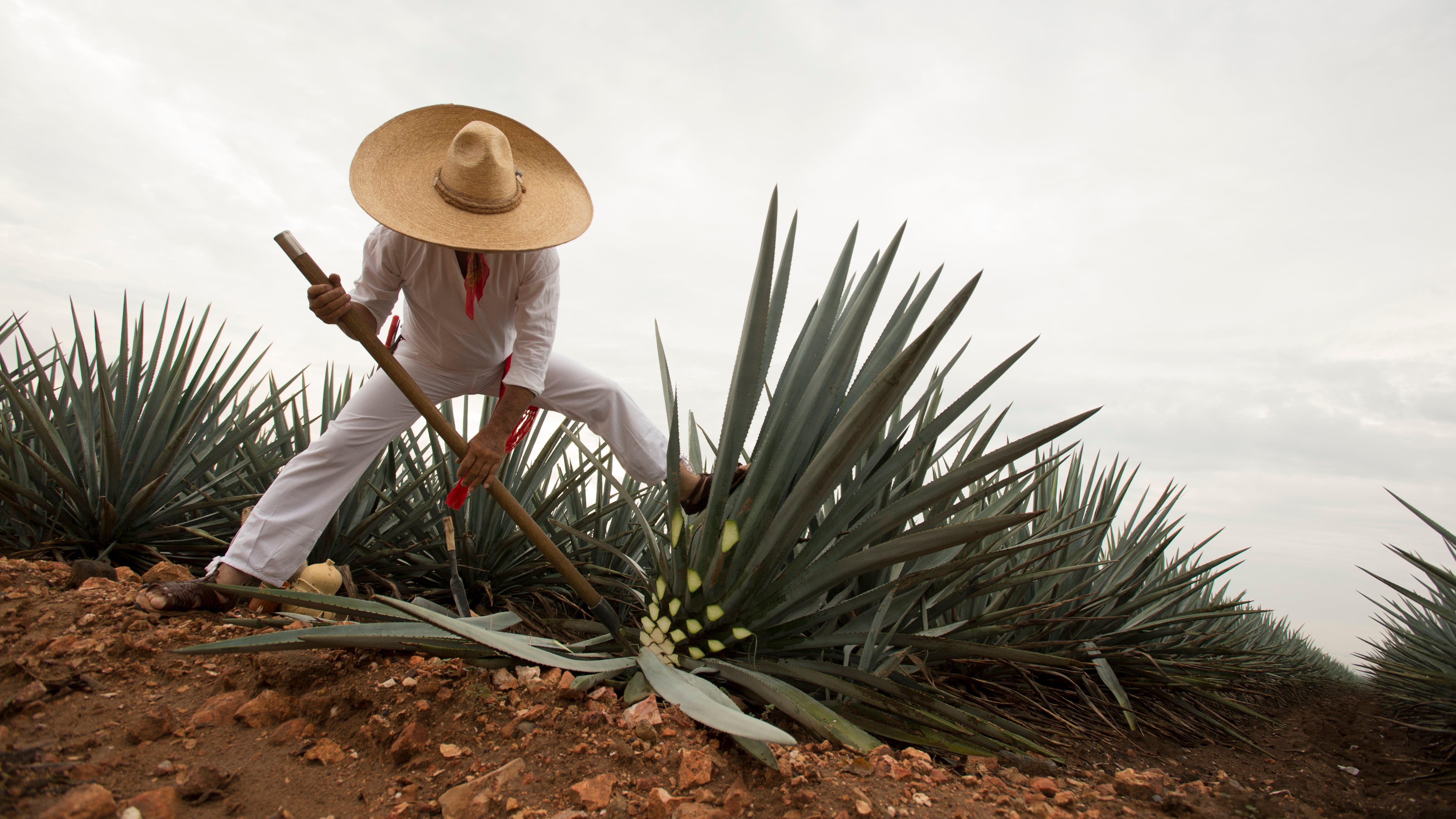 La alcaldesa Verónica Delgadillo García revela cómo Guadalajara capitaliza su identidad, hospitalidad y eventos internacionales como la Copa Mundial de la FIFA 2026
