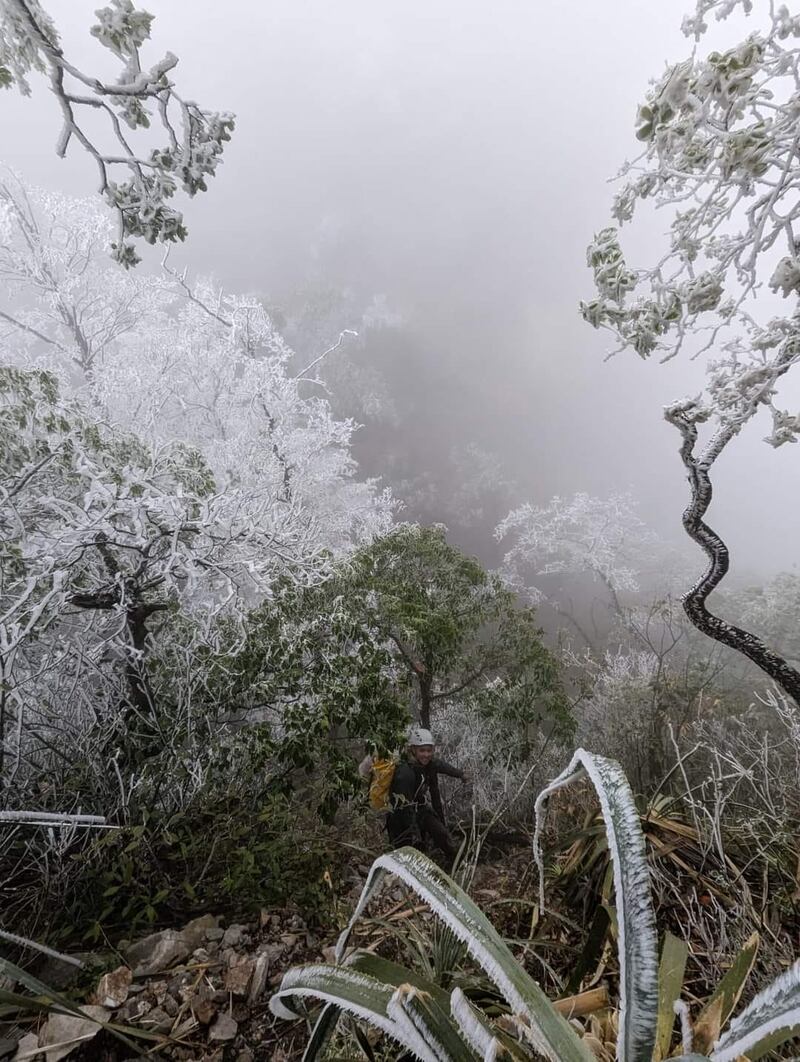 Parajes completamente congelados en el Cerro de las Mitras.