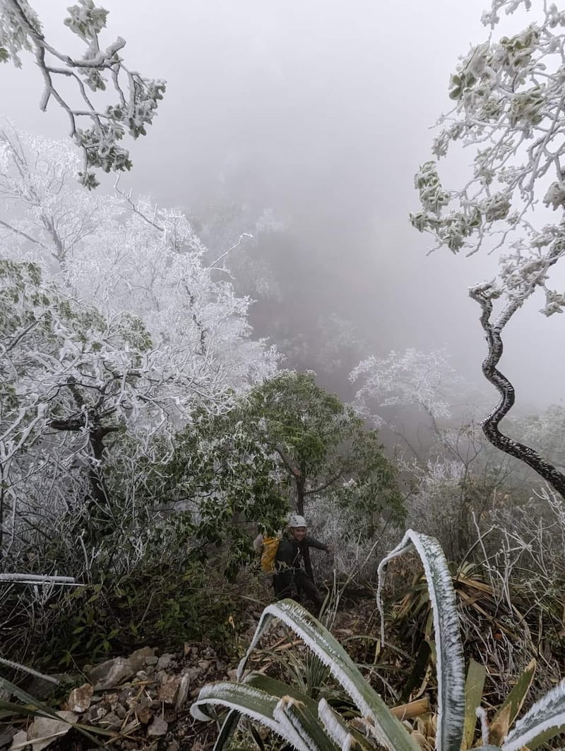 Parajes completamente congelados en el Cerro de las Mitras.