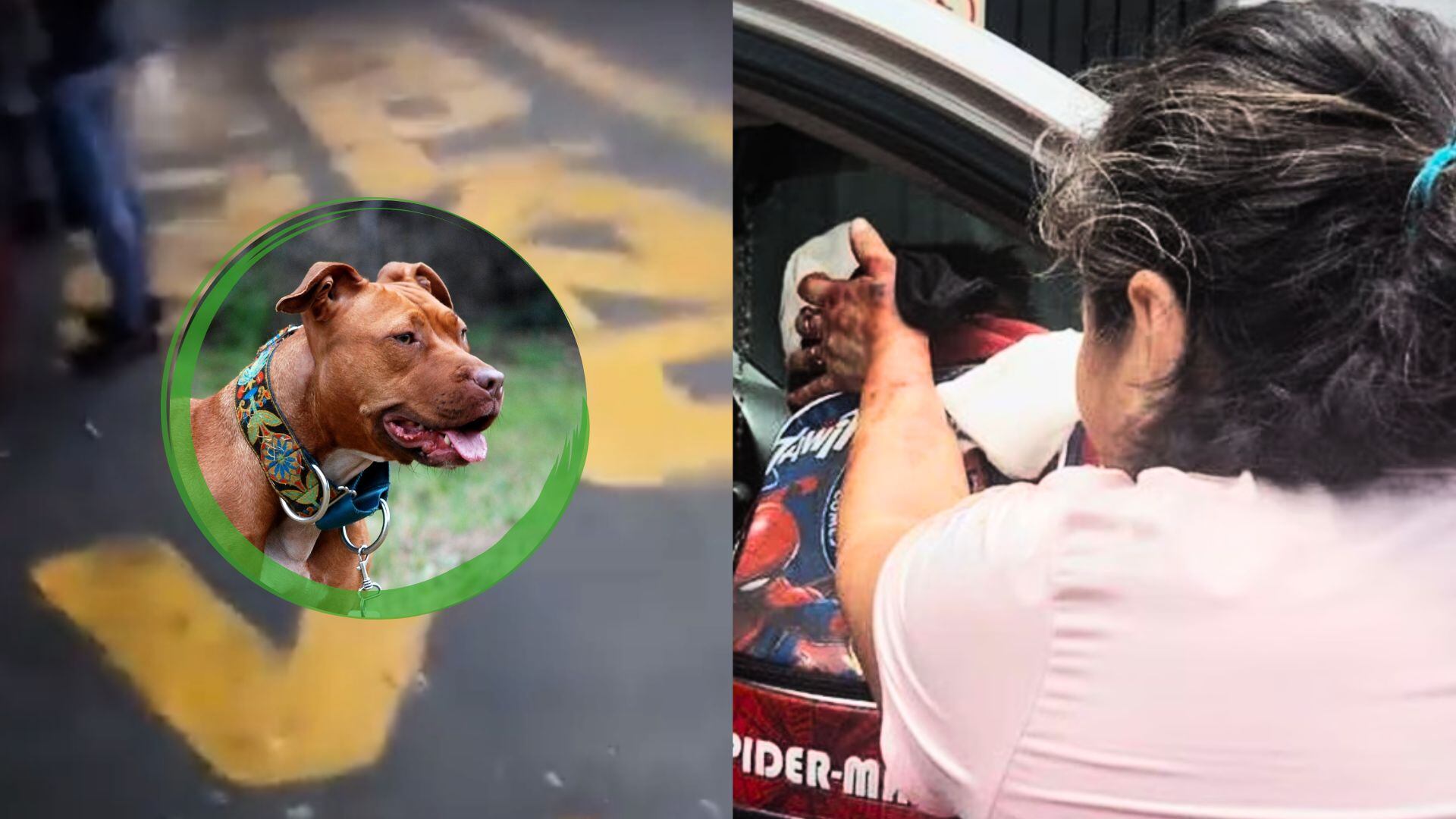 El perro estaba al cuidado de la abuela y una cuñada de Víctor Manuel, dueño del pitbull.