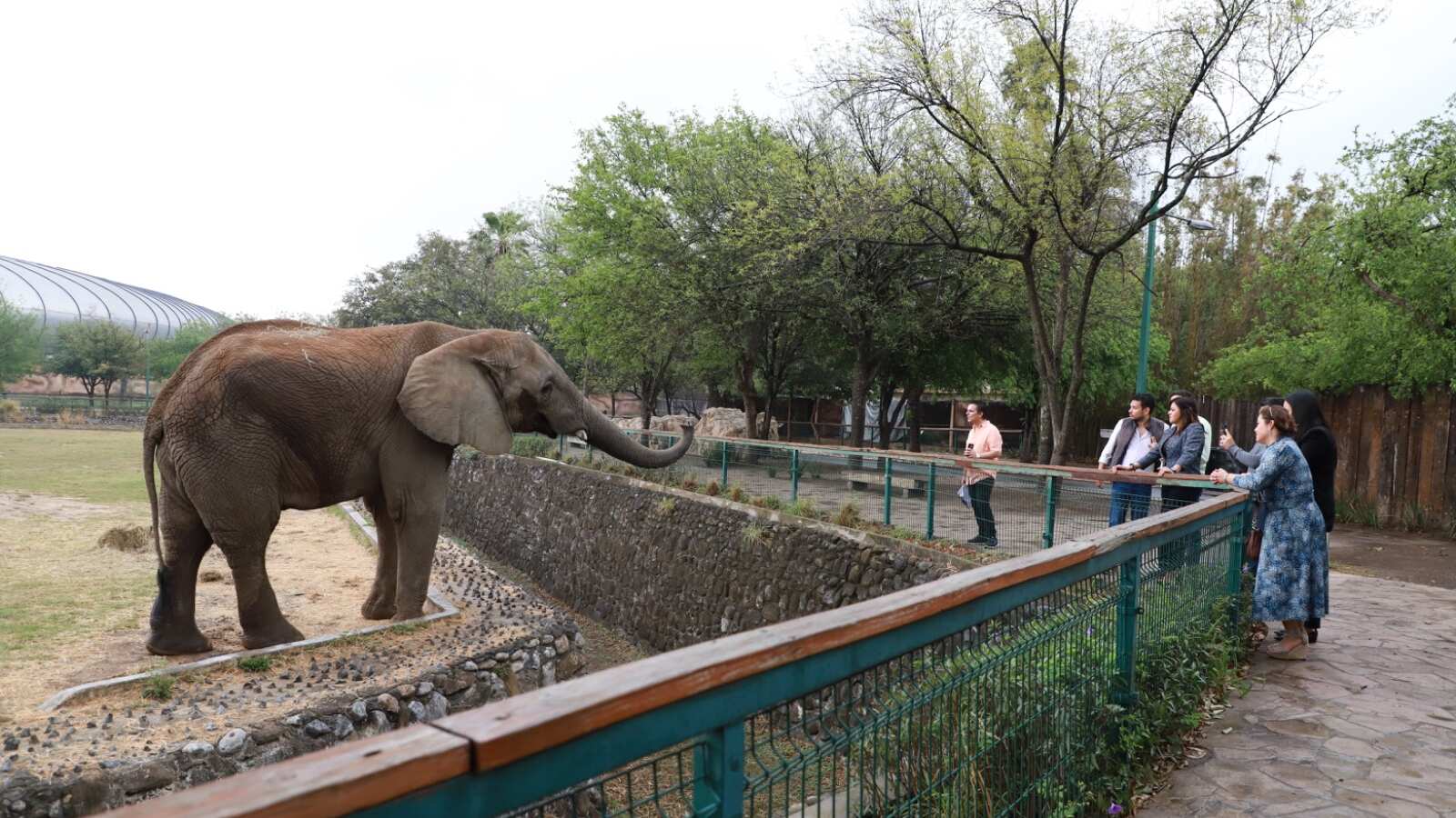 Los diputados panistas darán todo su respaldo a grupos defensores del zoológico.