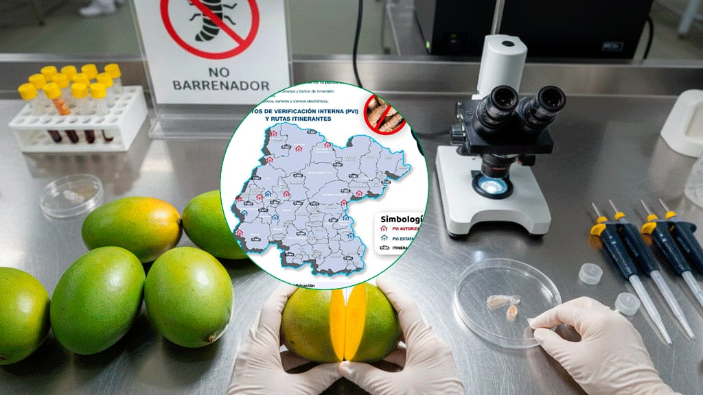 Guanajuato cuenta con 33 puntos de verificación y rutas itinerantes para evitar el ingreso del gusano barrenador del ganado.