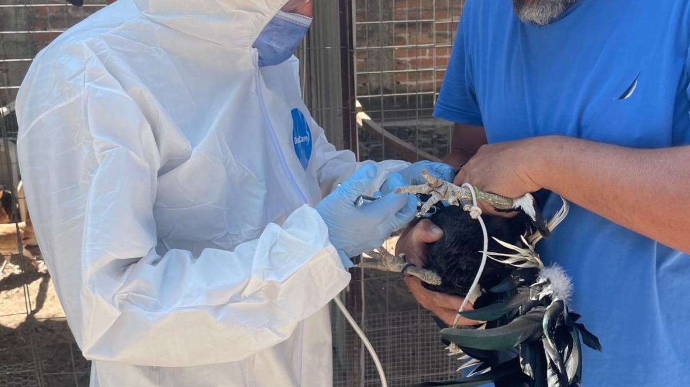 CORTESÍA/ GOBIERNO DE JALISCO