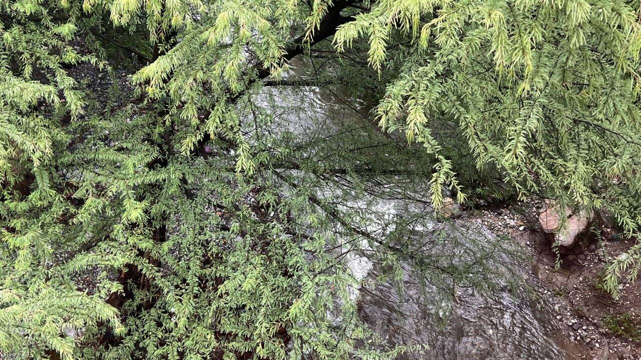 El cauce del Río La Silla subió hasta un 80%.