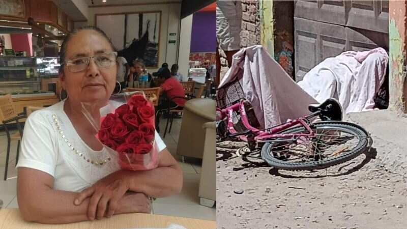 Teresa Magueyal, madre buscadora de Guanajuato es asesinada