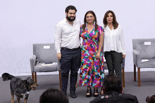 Tenencia, predial y licencias disparan ingresos en la capital, presume Clara Brugada