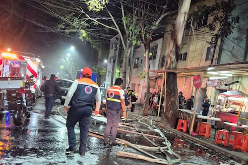 Rescatan a perros, gatos y más mascotas de incendio en la colonia Obrera; todos sobrevivieron