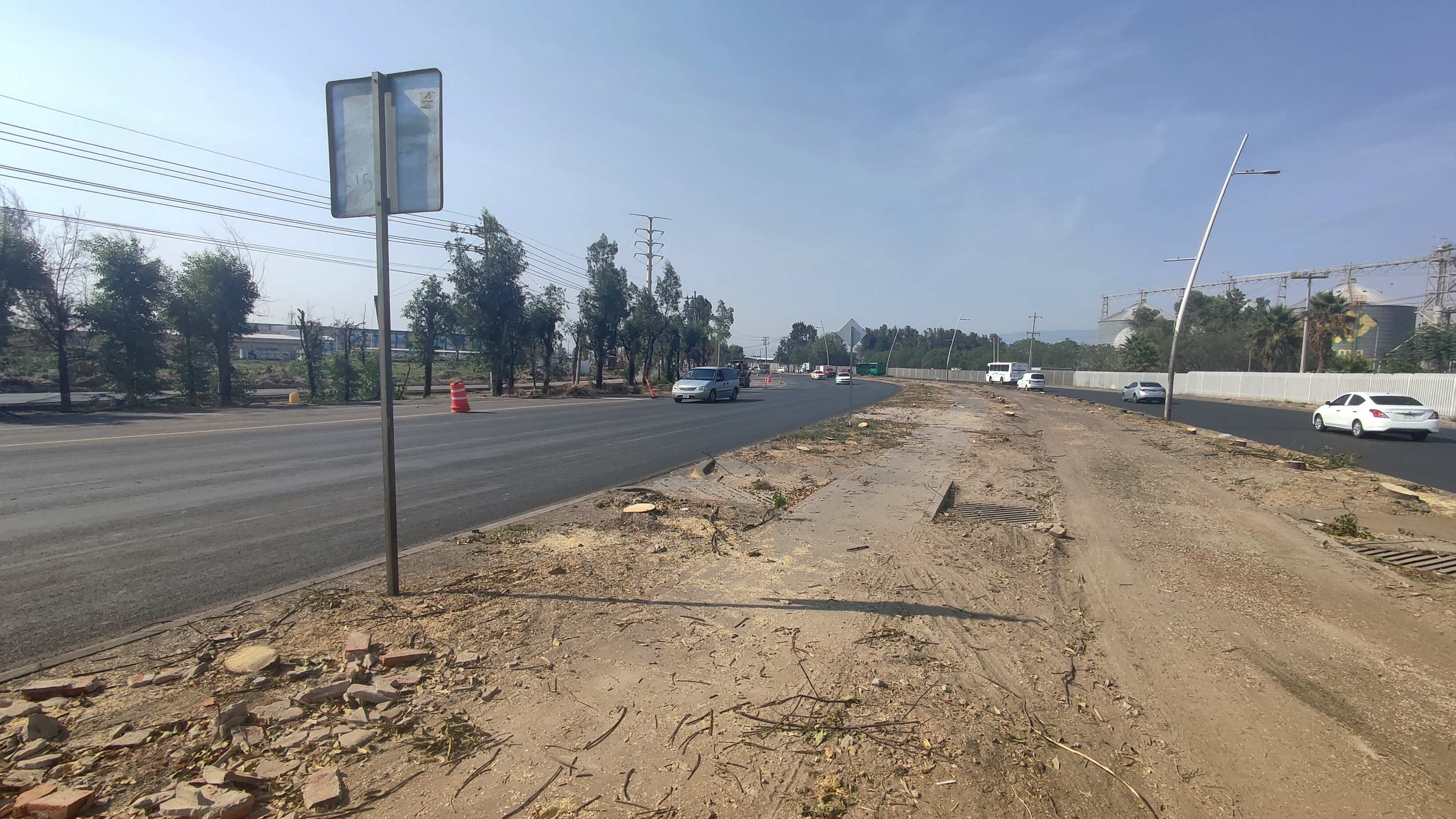 De los más de 80 ejemplares que había en el punto, apenas quedaron 12 de pie, todos ellos árboles de gran formato.